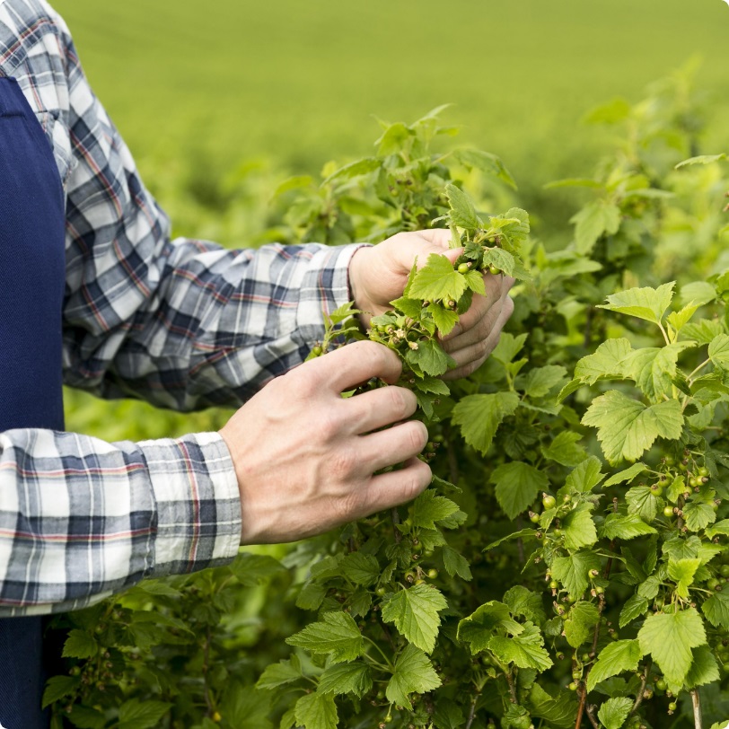 a farmer working